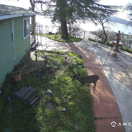 A Lake, A Mountain And The House With The Red Door クリアレイク エクステリア 写真