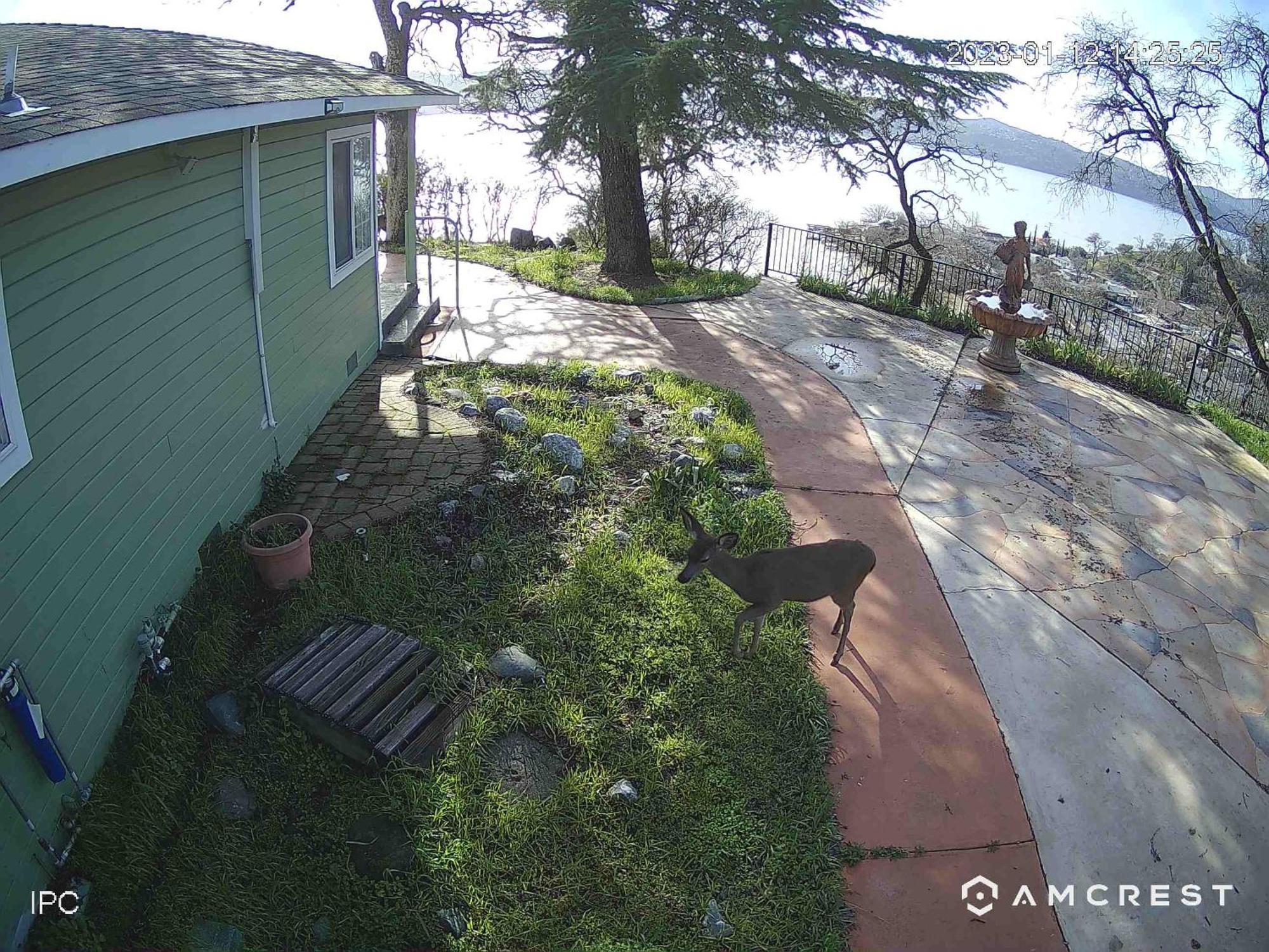 A Lake, A Mountain And The House With The Red Door クリアレイク エクステリア 写真